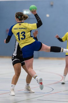Bild 275 - F HSG Pinnau2 - Rellinger TV2 : Ergebnis: 27:20